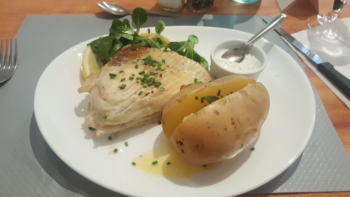 Le Chat Qui Pêche-7